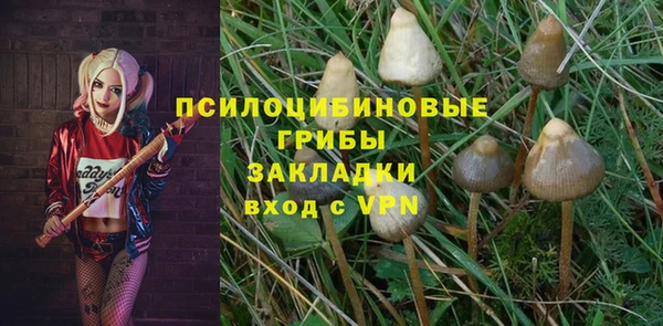 винт Алексеевка