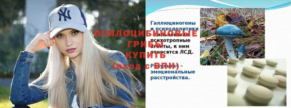 ешки Алзамай