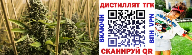 мега маркетплейс  Спасск  Дистиллят ТГК вейп 